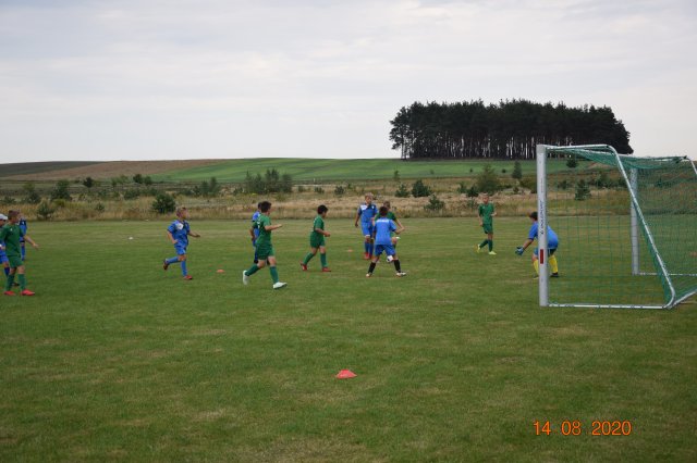 plewis 8